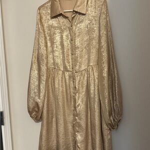 5- Gold Shimmer Button-Up Dress